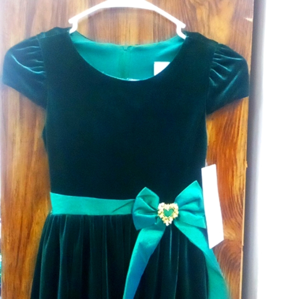 Rare Editions Hunter Green Holiday Dress Size 10